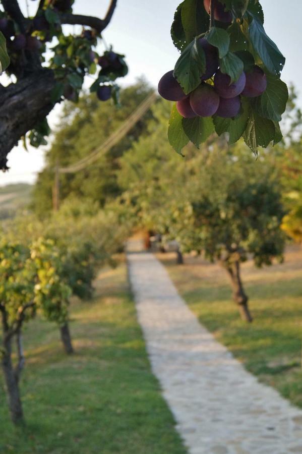 La Teggia Διαμέρισμα Monte San Pietro Εξωτερικό φωτογραφία